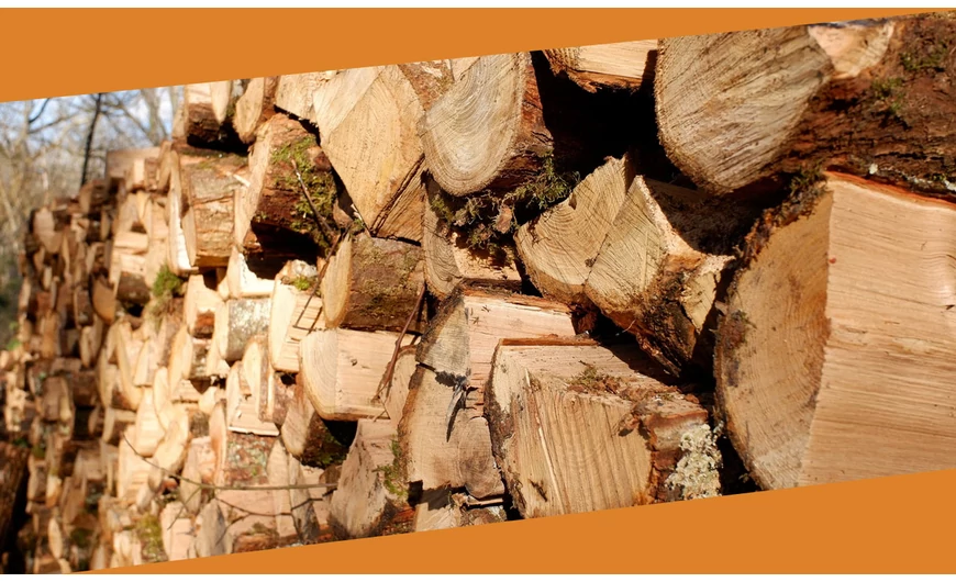 STIHL lánckenő olaj: miért meghatározó a láncfűrészek mindennapi működésében?